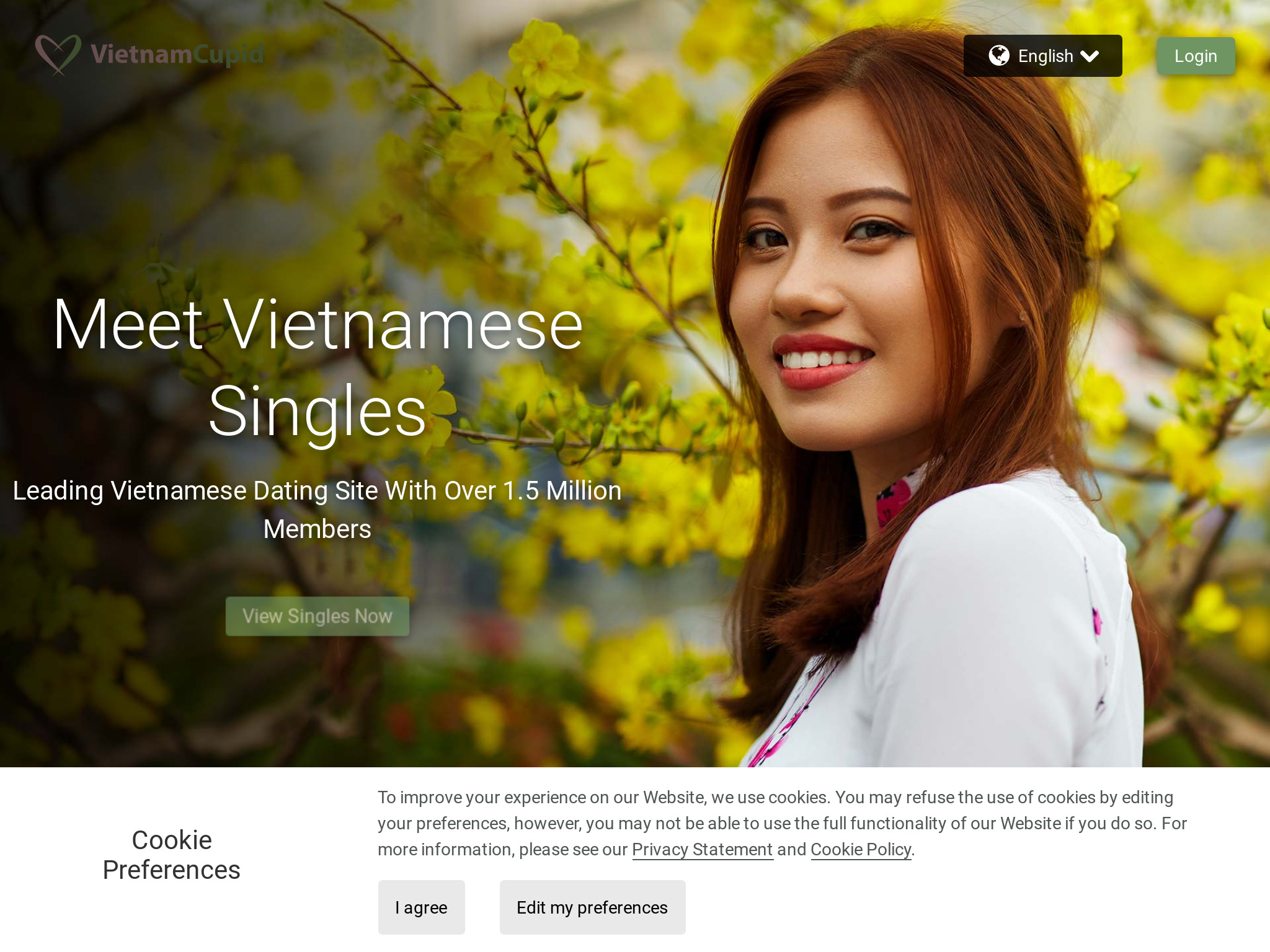 VietnamСupid Review: Is It The Perfect Choice For You In 2023?